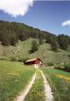 ferienhaus-27-6 - Graubünden und Hüttenferien in der Natur