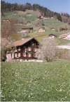 id-1015-7 - Ferienhaus in den Wiesen in Graubünden