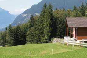 Bijou-Flitterwochenhaus mit Whirlpool über dem Urnersee mitten in den Wiesen mit Seesicht für 1 - 6 Personen (Nr. 289 - Ferienhaus Zentralschweiz)